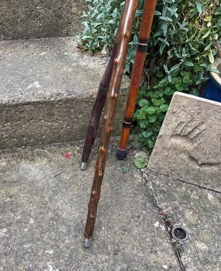 Photo of free 3 x proper wooden walking sticks (GL5) #2