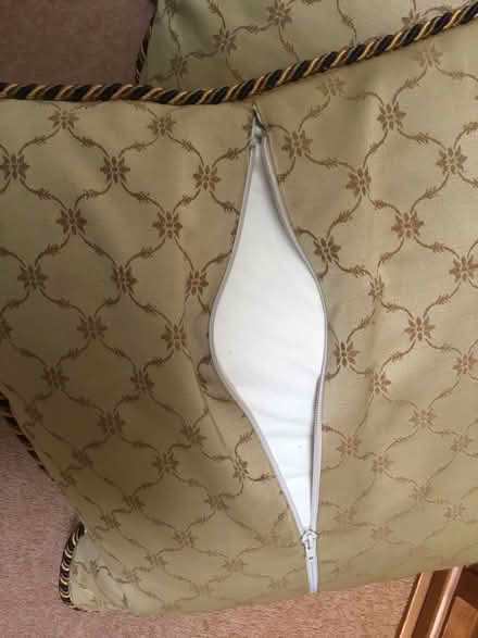 Photo of free Cushions (Honiton central) #4