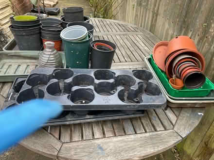 Photo of free Assorted sized Plant Pots & Large Tray (Hollington TN37) #1