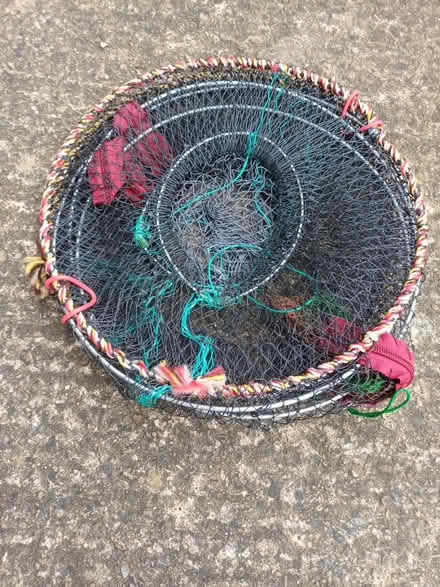 Photo of free Folding crab pot (Heworth. YO31) #1