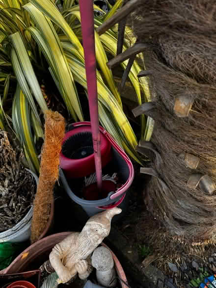 Photo of free Various things for home and garden (TN2 3HT) #4