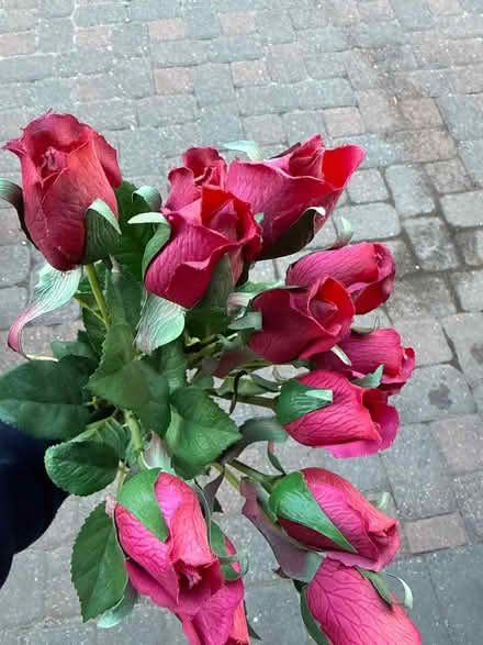 Photo of free Nice decorative roses (Clarendon metro,Arlington, VA) #1