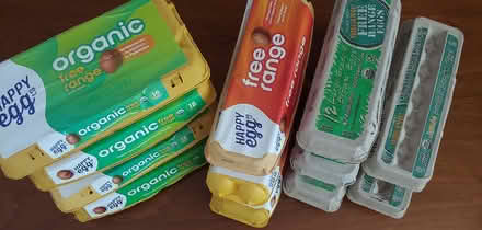 Photo of free Egg cartons (Sunnyvale 94087) #1