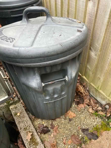 Photo of free Black dustbin (New Milton BH25) #1