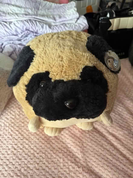 Photo of free Hand and foot warmer (Borrowash Derby) #1