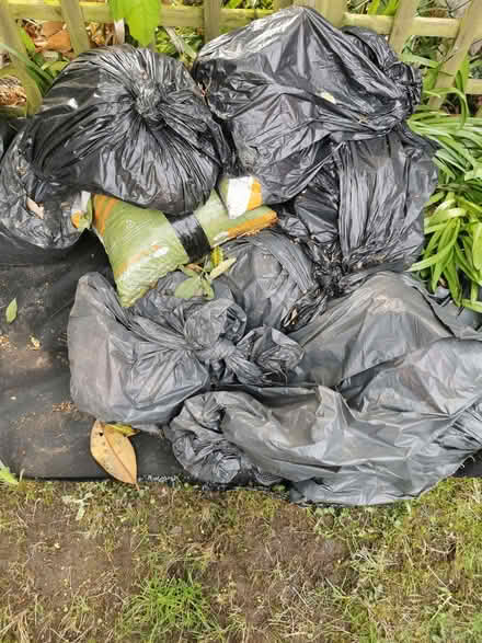 Photo of free Garden decorative stones / aggregate (Emlyn Gardens W12) #2