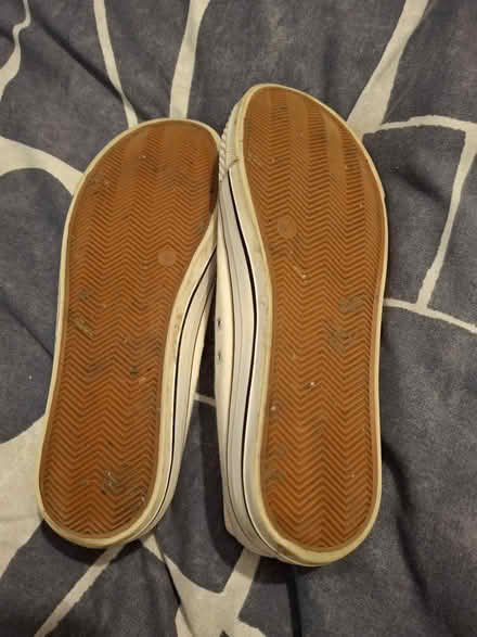 Photo of free Primark sneakers Size 7 (Dunston/ Low Teams NE8) #2