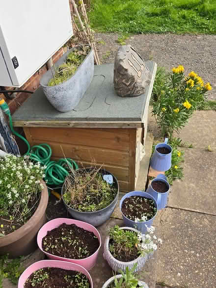 Photo of free Cat or small dog house (Chelmsford CM1) #2