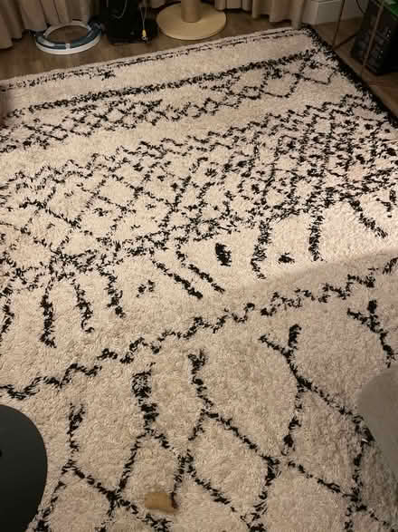 Photo of free Rug (St Albans AL1) #1