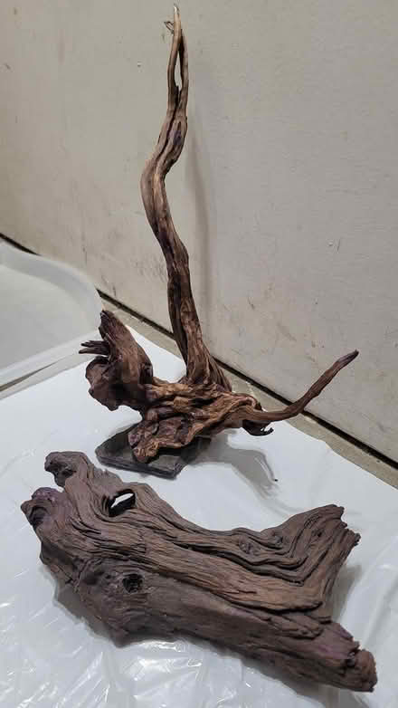 Photo of free 2pcs aquarium weighted driftwood (Broadview/Gerrard) #1