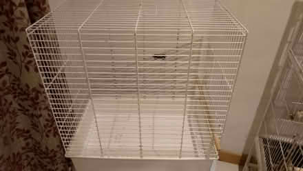Photo of free Bird cage (Dawlish EX7) #1