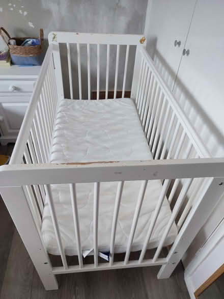 Photo of free Cot and mattress (GU4 7XT) #1