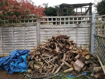 Photo of free Firewood logs (Broadwater SG2) #1
