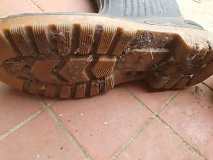 Photo of free Size 10 wellies (Caterham on the Hill CR3) #3