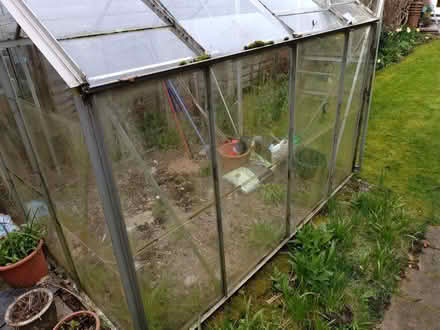 Photo of free Greenhouse (Wake Green B13) #3