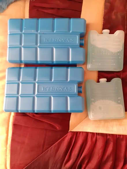 Photo of free Iceblocks 2 large and 2 small (Tonbridge TN9) #1