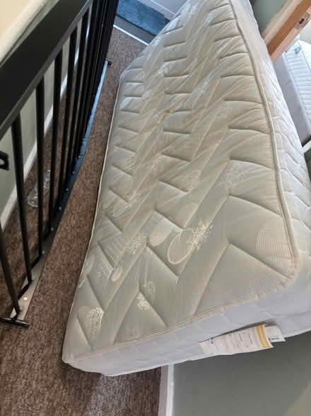 Photo of free Single bed base and mattress (Salisbury) #2