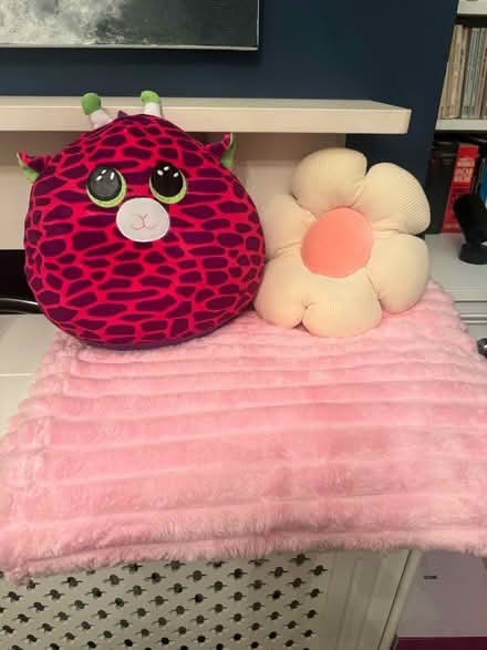 Photo of free Pink blanket and cushions (Cheltenham) #1