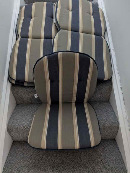Photo of free 5 Garden Seat Cushions (Beulah Hill SE19) #1