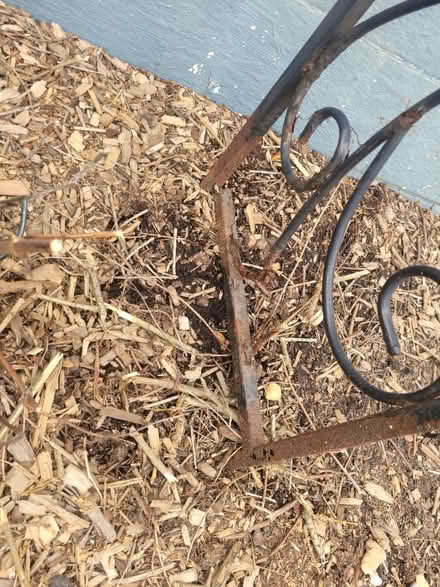 Photo of free Metal arched arbor (Talleyville, DE 19803) #3