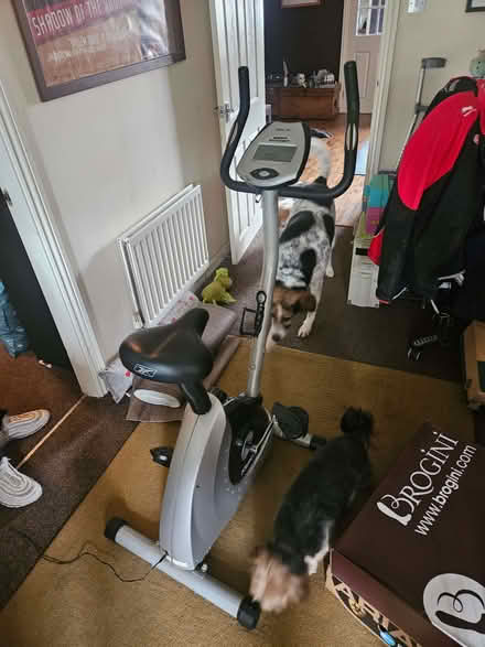 Photo of free Exercise Bike (Blackhall Mill NE17) #1