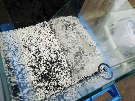 Photo of free Fish tank (Chaddesden DE21) #4