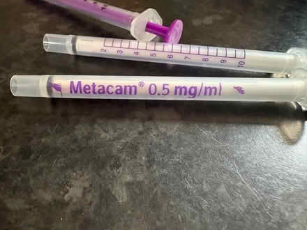 Photo of free 4 x syringes 10ml (GL5) #2