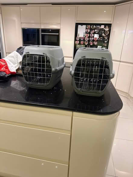 Photo of free Cat carrier (High Wycombe HP11) #1