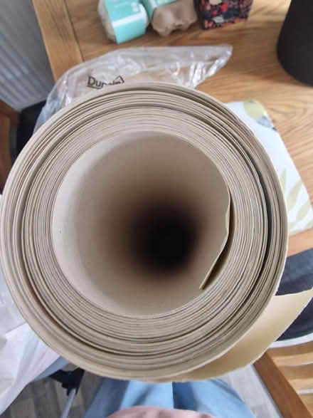 Photo of free Mini beasts wallpaper (St Albans AL4) #3