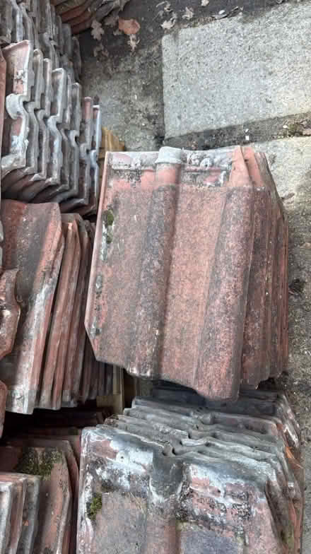 Photo of free Roof tiles (North Ascot SL5) #3
