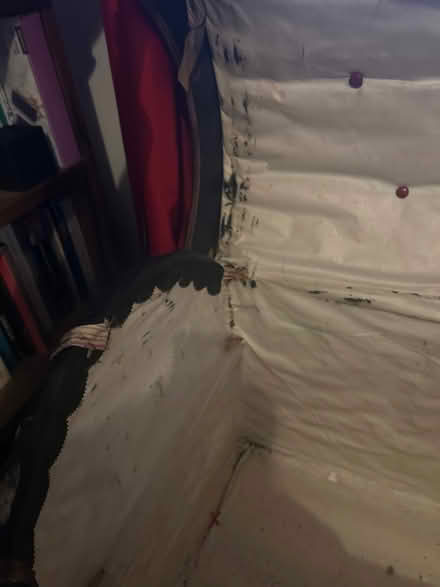 Photo of free Trunk (Ham TW10) #3