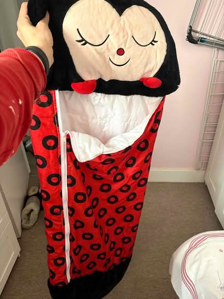 Photo of free Ladybug Toddler Sleeping Bag (CR2 South Croydon) #1