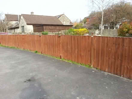Photo of free 6x4 fence panels (Bawdrip TA7) #1