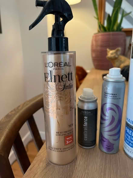 Photo of free Hairsprays (Collect near Marsh Park OX4) #2