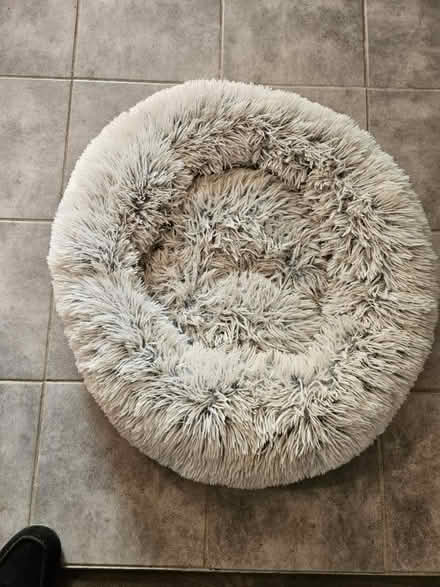Photo of free Small dog or cat bed (Mahopac NY) #1