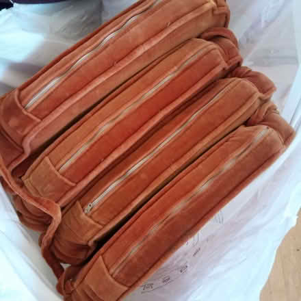 Photo of free Orange seat cushions (Charlbury OX7) #1