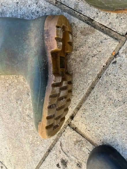 Photo of free Wellingtons (Weston Park) #2