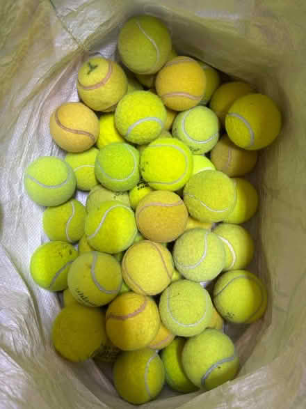 Photo of free Bag used tennis balls (Henlow SG16) #1