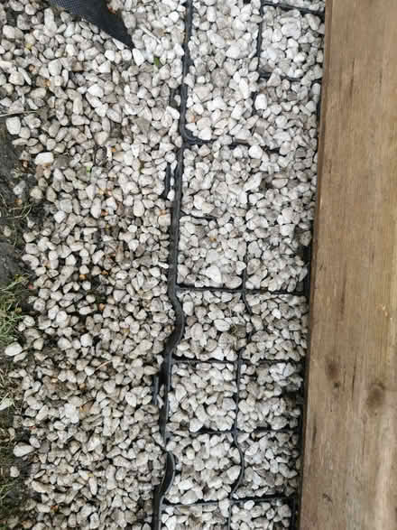 Photo of free Garden decorative stones / aggregate (Emlyn Gardens W12) #3