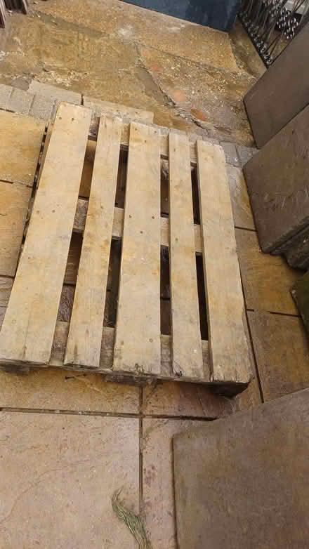 Photo of free Pallets (Wiggenhall St Mary The Virgin PE34) #2