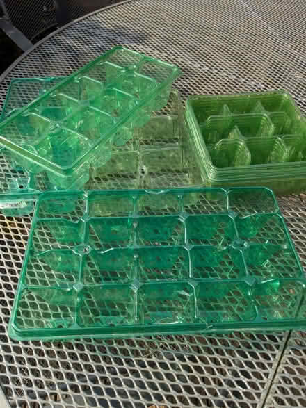 Photo of free Seed Trays (Beulah Hill SE19) #1