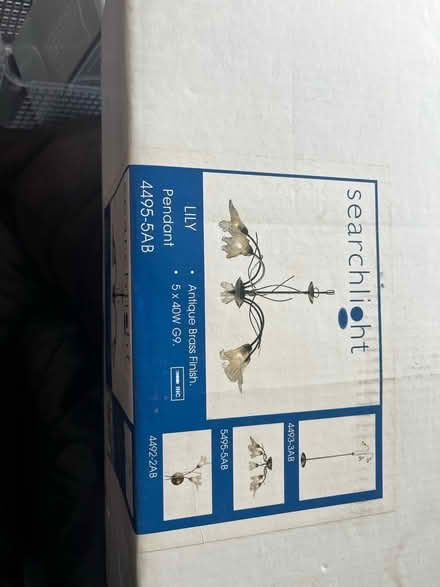 Photo of free Light Pendant (Hailsham BN27) #2