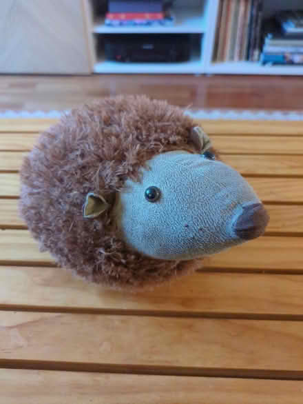 Photo of free M&S Hedgehog door stop (Mosspark, Glasgow G52) #1