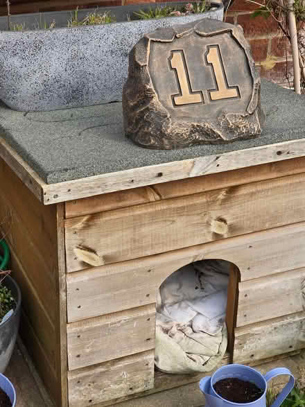 Photo of free Cat or small dog house (Chelmsford CM1) #3