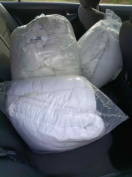 Photo of free Clean single duvets (Chester CH1) #1