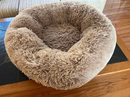 Photo of free cozy bed for small-medium dogs (Derwood, MD) #1