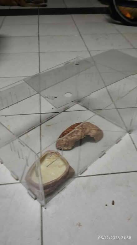 Photo of free Used Rabbit / Cat Cage and Others (Puchong) #4