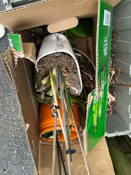 Photo of free Pots (Fairfax virginia) #2