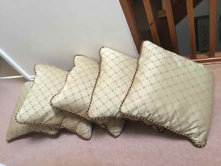 Photo of free Cushions (Honiton central) #1