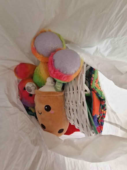 Photo of free Bag of mixed plushies and toys (St Albans AL4) #1